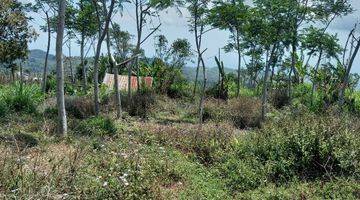 Gambar 4 Tanah Di Jalan Utama Wanagiri Bedugul, Meghadap Danau Buyan & Wanagiri Hidden Bali Hill