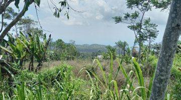 Gambar 5 Tanah Di Jalan Utama Wanagiri Bedugul, Meghadap Danau Buyan & Wanagiri Hidden Bali Hill