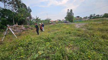 Gambar 4 Tanah Nyaman di Selomartani Jogja, 100 Jutaan, Cocok Untuk Hunian