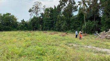 Gambar 3 Tanah Jogja 1 Juta an di Selomartani, SHM Pekarangan