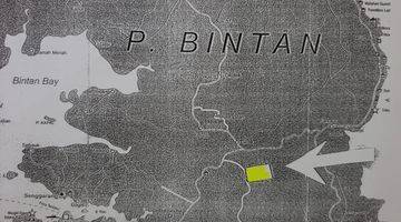 Gambar 2 Dijual Cepat Tanah di Pulau Bintan kepulauan Riau + 30 Hektar