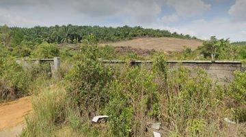 Gambar 4 Dijual Cepat Tanah di Pulau Bintan kepulauan Riau + 30 Hektar