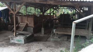 Gambar 2 Kandang Sapi Siap Pakai Di Lembang