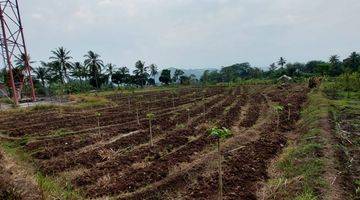 Gambar 1 Tanah kabupaten Cianjur pinggir jalan 275 tumbak