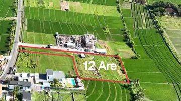 Gambar 1 TOP URGENT DI JUAL TANAH VIEW SAWAH LOKASI BERABAN KEDIRI TABANAN 
