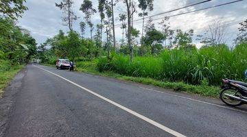 Gambar 2 Tanah Luas Dijual di Kawasan Lumbang