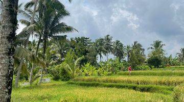 Gambar 4 Tanah di Daerah Ubud