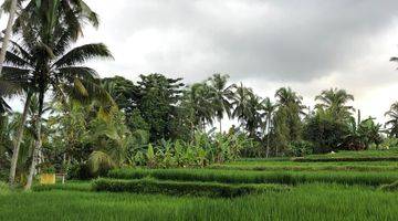 Gambar 1 Tanah di Daerah Ubud