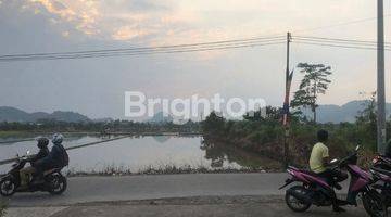 Gambar 2 TANAH SAWAH Rancamalang Margaasih Kabupaten Bandung.