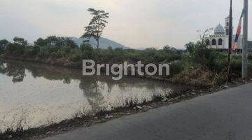 Gambar 3 TANAH SAWAH Rancamalang Margaasih Kabupaten Bandung.