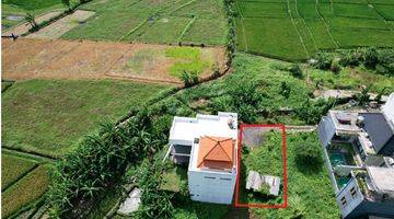 Gambar 5 Tanah 160m2 Tumbak Bayuh Pererenan