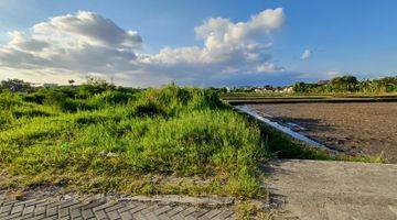 Gambar 3 Shm, Tanah Cocok Hunian Mewah View Sawah Jogja Kota