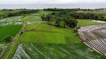 Gambar 1 Tanah dekat pantai kelating