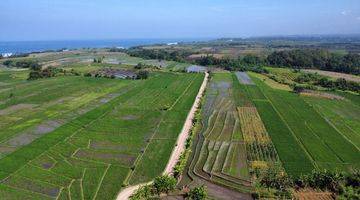 Gambar 4 Jual tanah lokasi dekat pantai kelating di Jalan pantai kelating