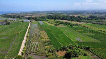 Gambar 5 Jual tanah lokasi dekat pantai kelating di Jalan pantai kelating