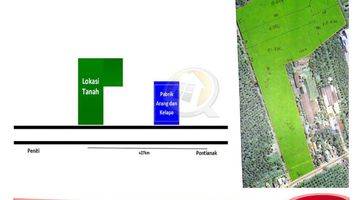 Gambar 1 DIJUAL TANAH TEPI JALAN PENITI TOTAL 9,6 Ha