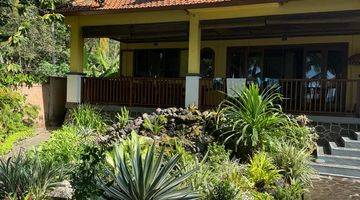 Gambar 4 8 Bedrooms Villa In Beachside Tejakula For Sale.