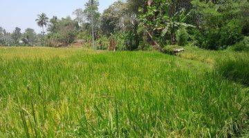 Gambar 5 Dijual Sawah Subur Panen 3 x Setahun 1054 m2 Sukabumi