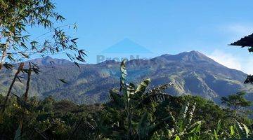 Gambar 2 Trawas SHM View Gunung untuk Villa