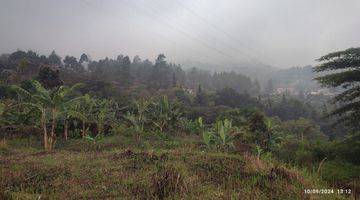 Gambar 1 Tanah 2 Hektar Cocok Untuk Resort Di Puncak Bogor 