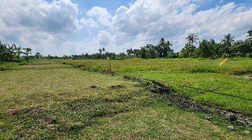 Gambar 4 Tanah Kavling di Dekat Pantai Belong, Tabanan