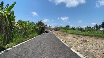 Gambar 3 Tanah Kavling View Sawah di Pering Dekat Dengan Rs Kasih Ibu