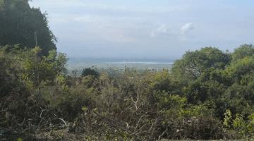 Gambar 3 Tanah Kavling di Goa Gong Dekat Pantai Green Bowl