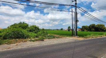 Gambar 2 Tanah Kavling Nyitdah View Sawah, Tabanan