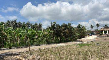 Gambar 1 Tanah Kavling View Sawah di Pering Dekat Dengan Rs Kasih Ibu