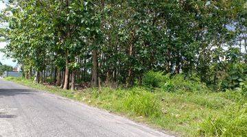 Gambar 2 Tanah Dusun Pajangan Dijual Dekat Sch Mall