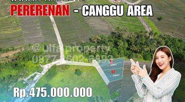 Gambar 1 Dijual Tanah Di Pererenan Canggu Direct Owner View Sawah