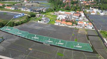 Gambar 1 Tanah Kavling Pinggir Jalan Raya 5 Menit Sampai Pantai Seseh 