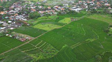 Gambar 5 TANAH KAVLING BABAKAN Canggu View Sawah Dan Sunset Last Unit 