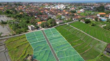 Gambar 1 Dijual Tanah Munggu 10 Menit From Canggu View Sawah,Pinggir Jalan