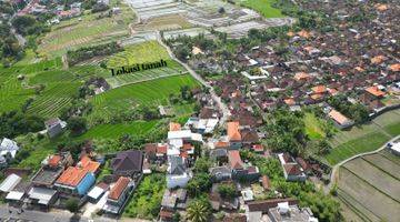 Gambar 4 Dijual Tanah Munggu 10 Menit From Canggu View Sawah,Pinggir Jalan