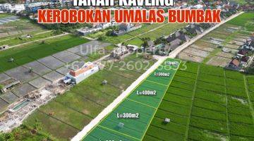 Gambar 1 Dijual Tanah Di Kerobokan Umalas Area Villa Dan View Sawah