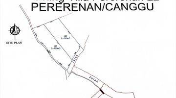 Gambar 3 Dijual Tanah Di Pererenan Canggu Direct Owner View Sawah