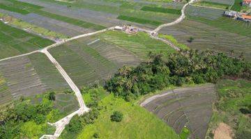 Gambar 4 Dijual Tanah Di Pererenan Canggu Direct Owner View Sawah