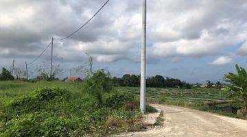 Gambar 5 Dijual Tanah Di Pererenan Canggu Direct Owner View Sawah