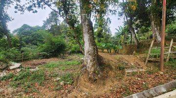 Gambar 1 Tanah View Gunung Salak Di Jl Manggis Tajur Halang Bogor