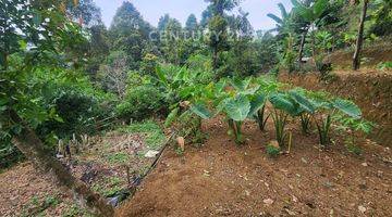 Gambar 4 Tanah View Gunung Salak Di Jl Manggis Tajur Halang Bogor