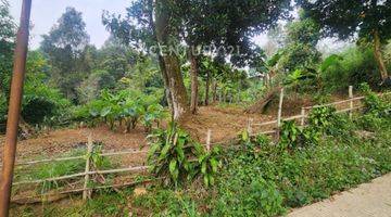 Gambar 2 Tanah View Gunung Salak Di Jl Manggis Tajur Halang Bogor