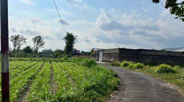 Gambar 2 100 Meter Warung Watoe Gadjah, Tanah Shm Pekarangan