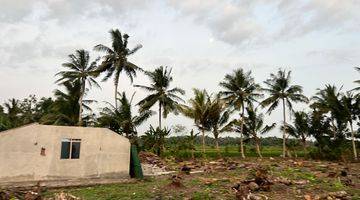 Gambar 2 Jual Tanah dengan View Sawah, SHM Pekarangan