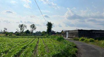 Gambar 4 100 Meter Warung Watoe Gadjah, Tanah Shm Pekarangan