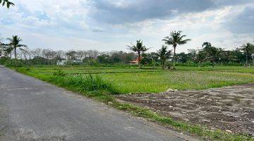 Gambar 5 Barat Kampus Uii Tanah Murah Jogja Shm Pekarangan Akad Notaris