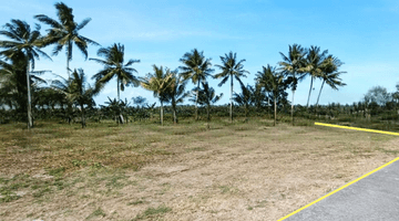 Gambar 1 Tanah Untuk Hunian Dekat Bandara YIA,SHMPekarangan