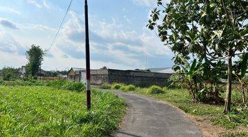 Gambar 5 100 Meter Warung Watoe Gadjah, Tanah Shm Pekarangan