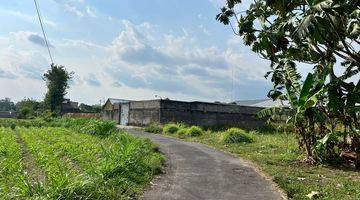 Gambar 3 100 Meter Warung Watoe Gadjah, Tanah Shm Pekarangan