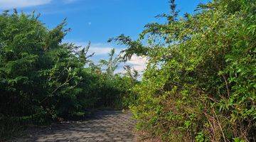 Gambar 2 1420m² Land Near Gwk Bali For Sale Prime Location In Goa Gong